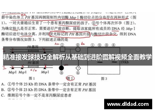 精准接发球技巧全解析从基础到进阶图解视频全面教学